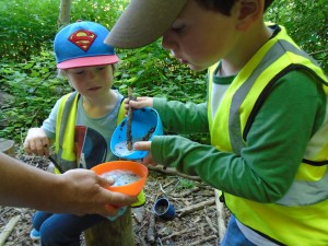 Forest School at our Woodland Site