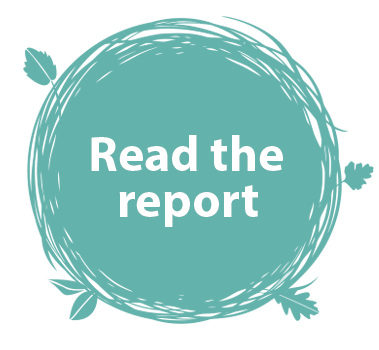 Read the Report