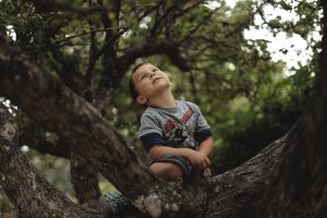 Nature connection and Therapeutic Play