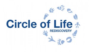 Explore Outdoor Maths and more with Circle of Life Rediscovery