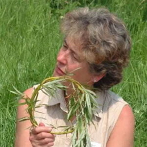 The Essential Guide to Forest School & Nature Pedagogy | Order Directly ...