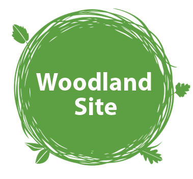 Woodland Site