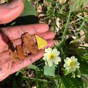 Earthwalks with Jon Cree Spring