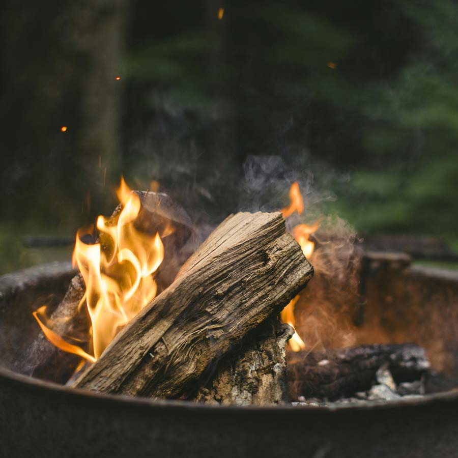 Fire cooking workshop