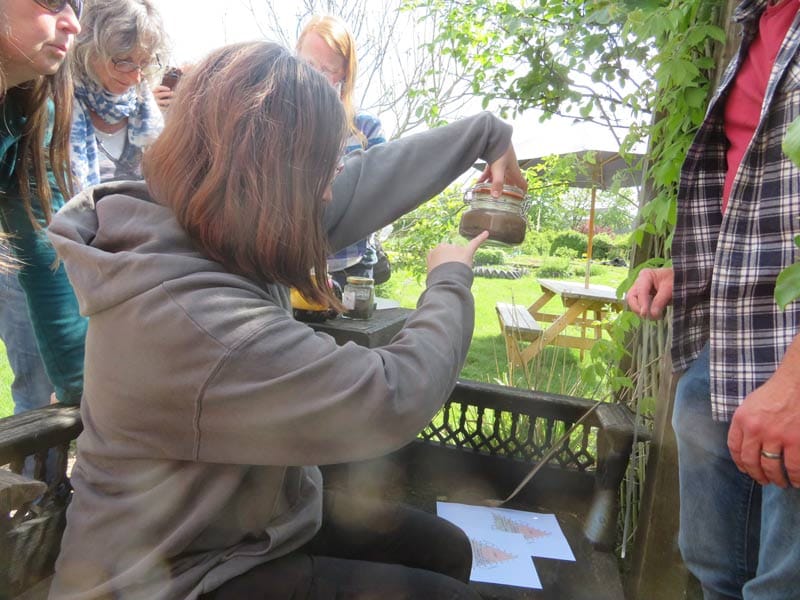 Engaging in permaculture learning