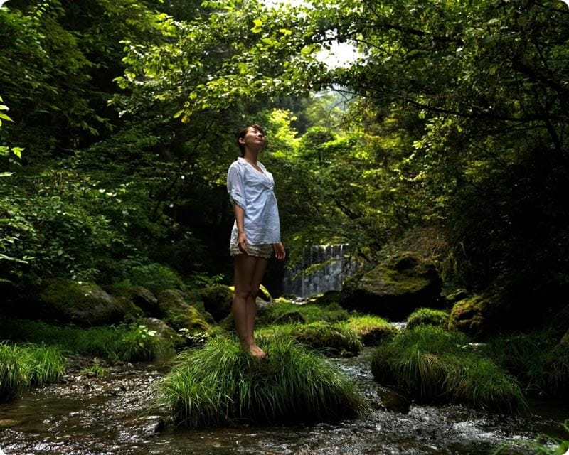 Permaculture for Health Practitioners