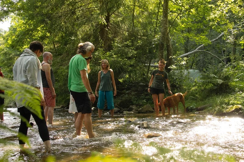 rebecca wildbear workshop