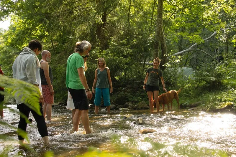 rebecca wildbear workshop