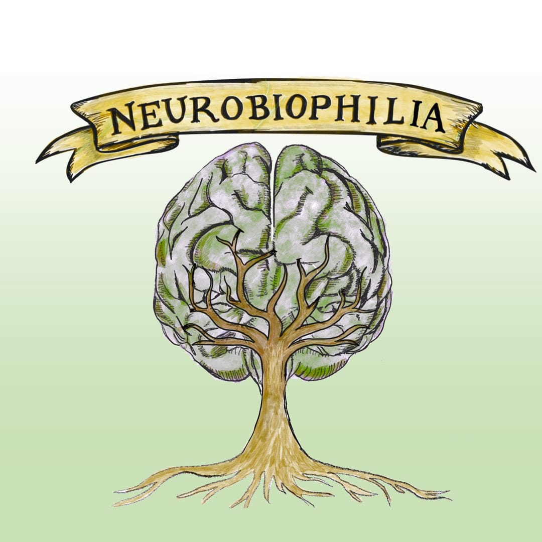 neurobiophilia brain and nature intertwined