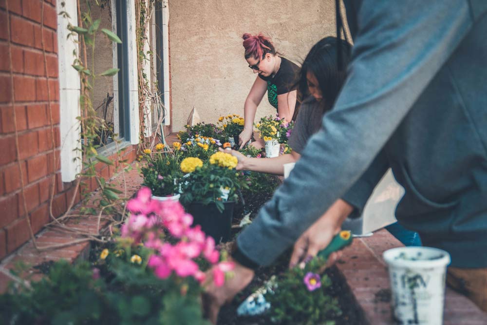 Three people tending to flowers in an urban environment. Green soical prescribing.