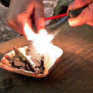 forest school training east sussex